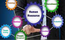 Human Resource Professional